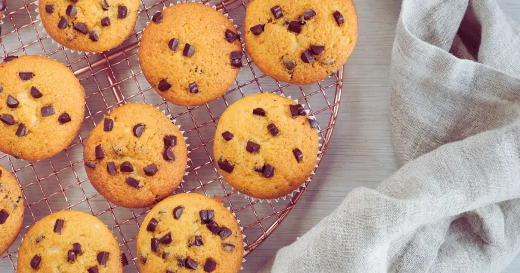 recipe for chocolate chip muffins